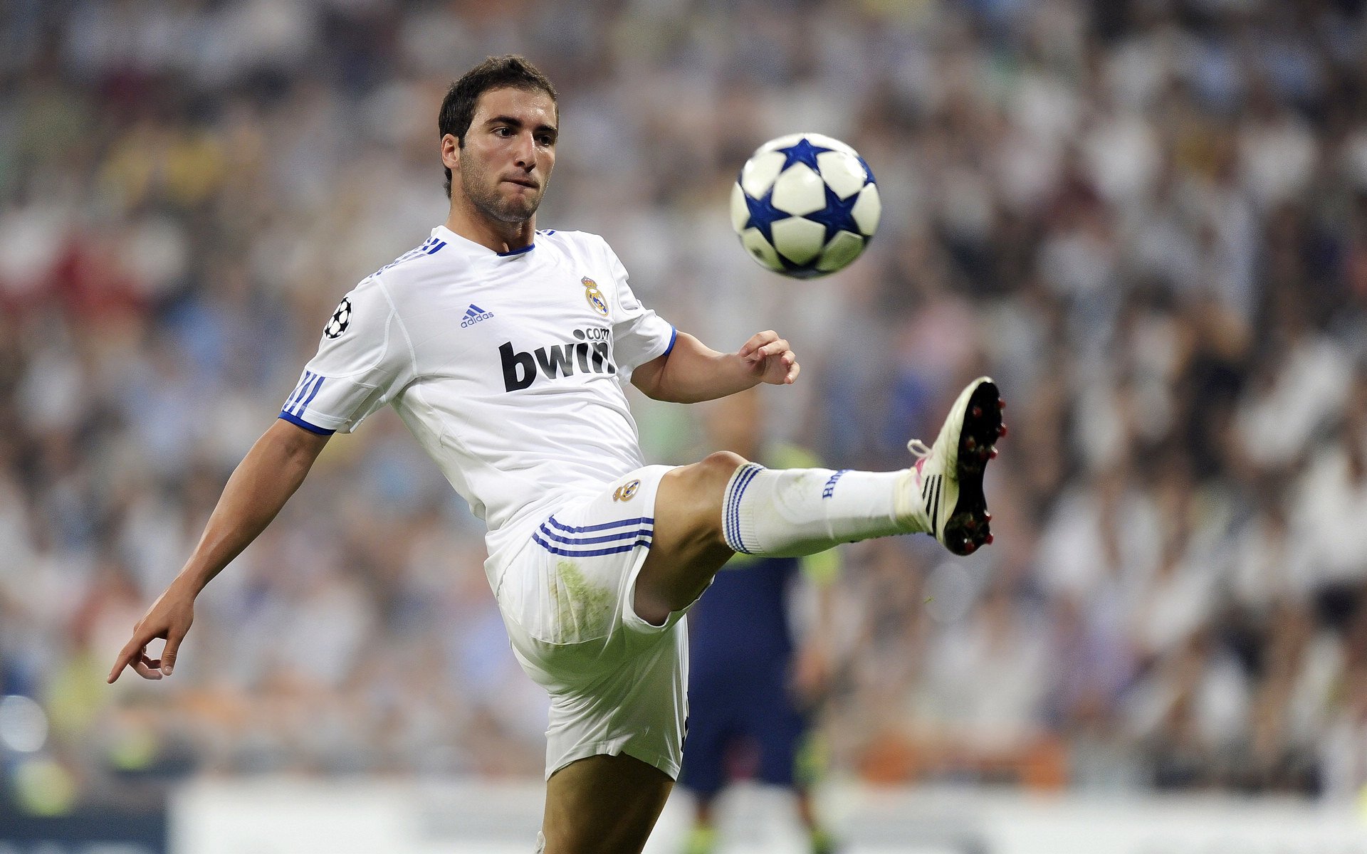 多米尼克长跑运动队取得佳绩，多米尼克 poi