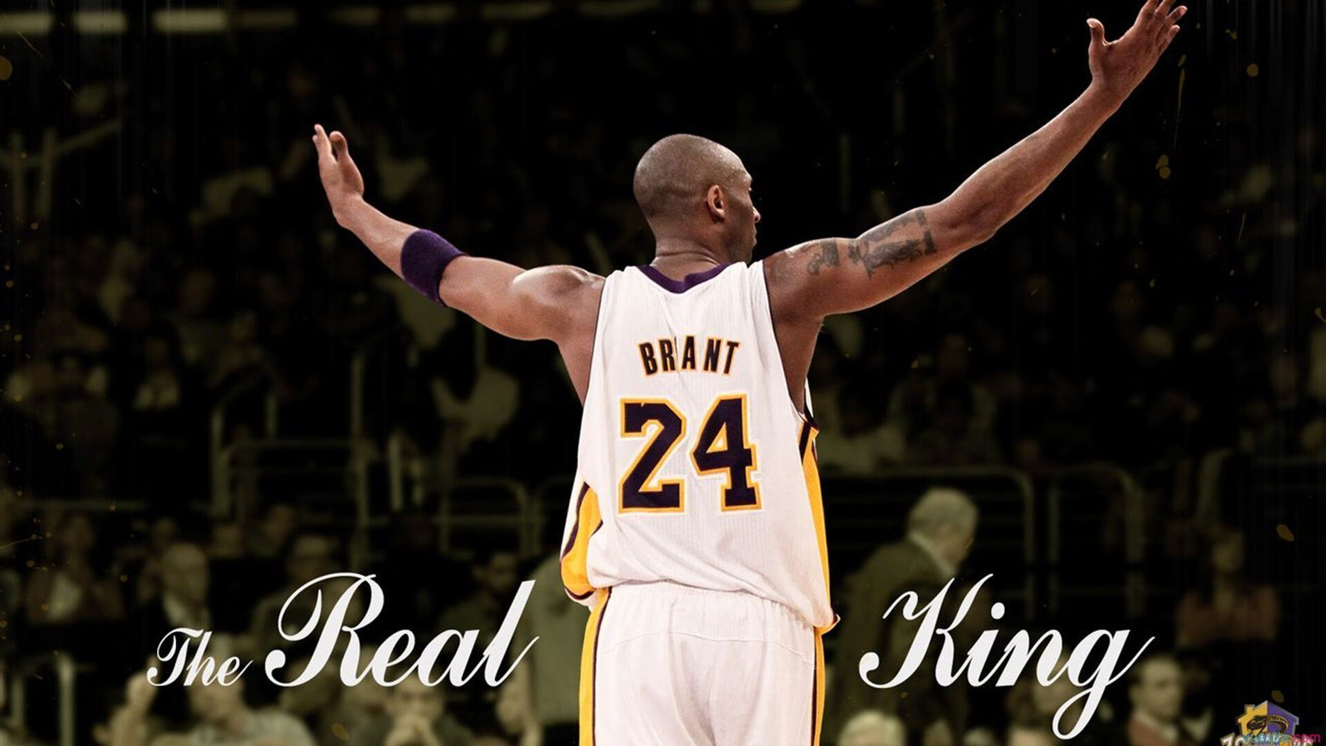 “胡利安·门德斯的坚韧精神与精湛技巧，助力阿根廷美洲狮队勇攀高峰”